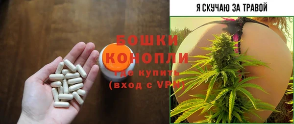 СК Аркадак