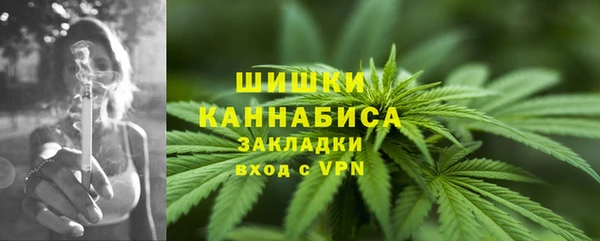 прущий лед Арсеньев