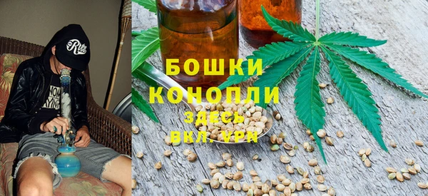 СК Аркадак