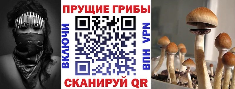 Галлюциногенные грибы GOLDEN TEACHER  Балей 